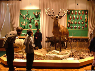 Bakonyi Természettudományi Múzeum – 5. kép